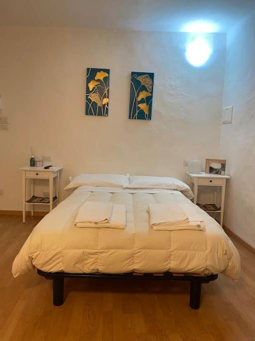 Gianfranco - City Center Apt Firenze Kültér fotó